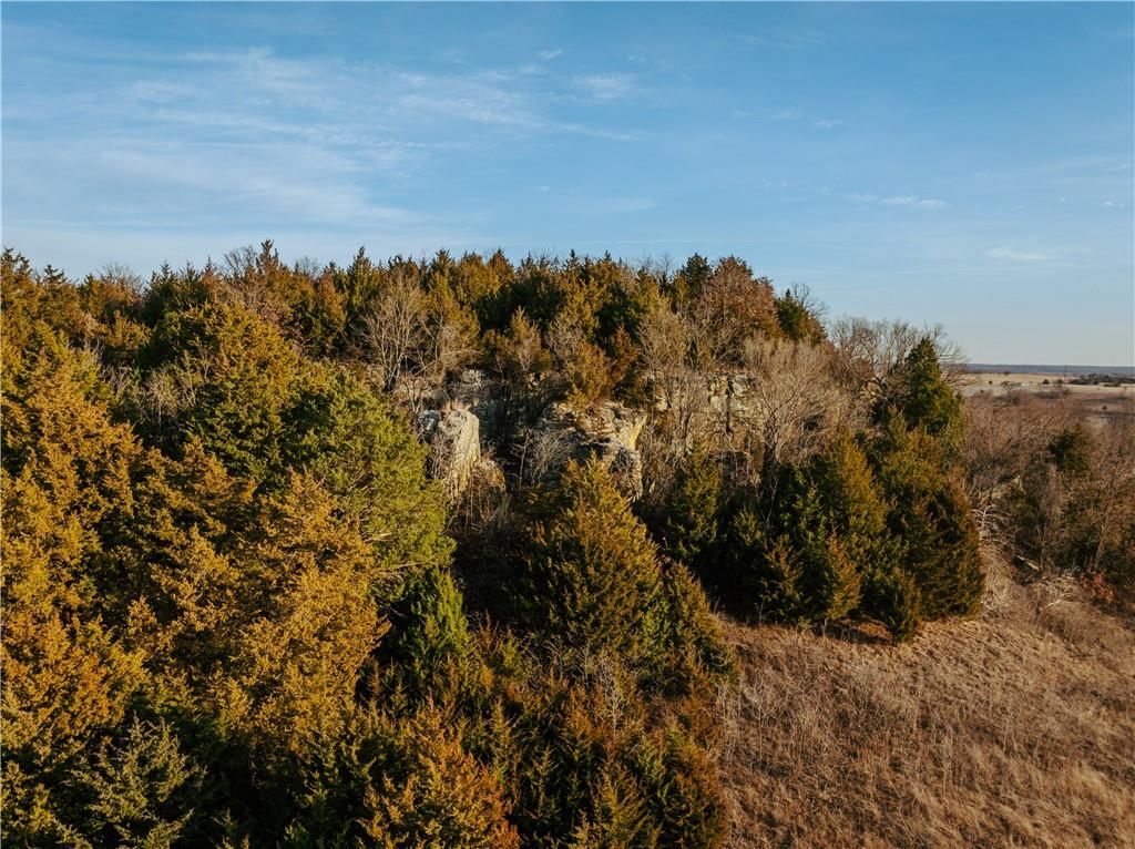 15783 Clay Road — photo 73