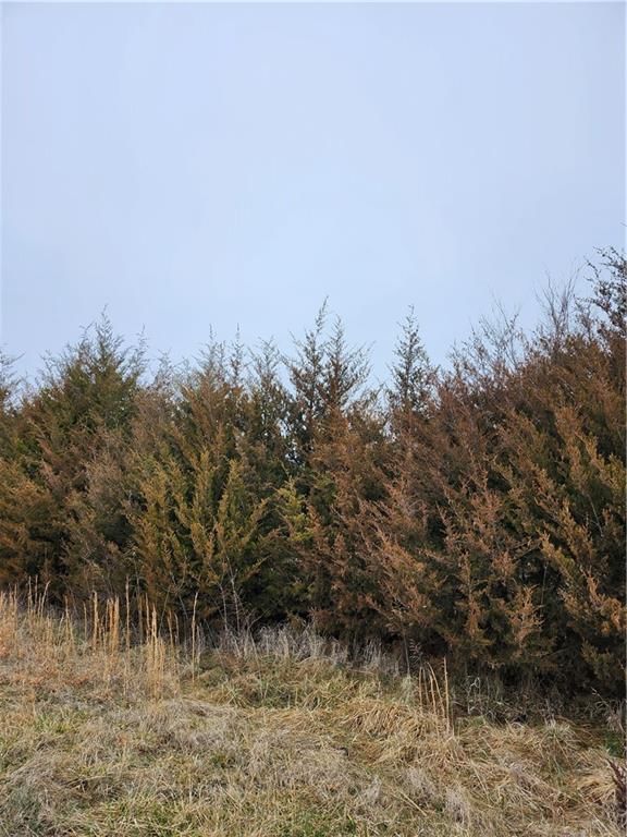 37 Silver Fox Trail, Linn Valley, KS