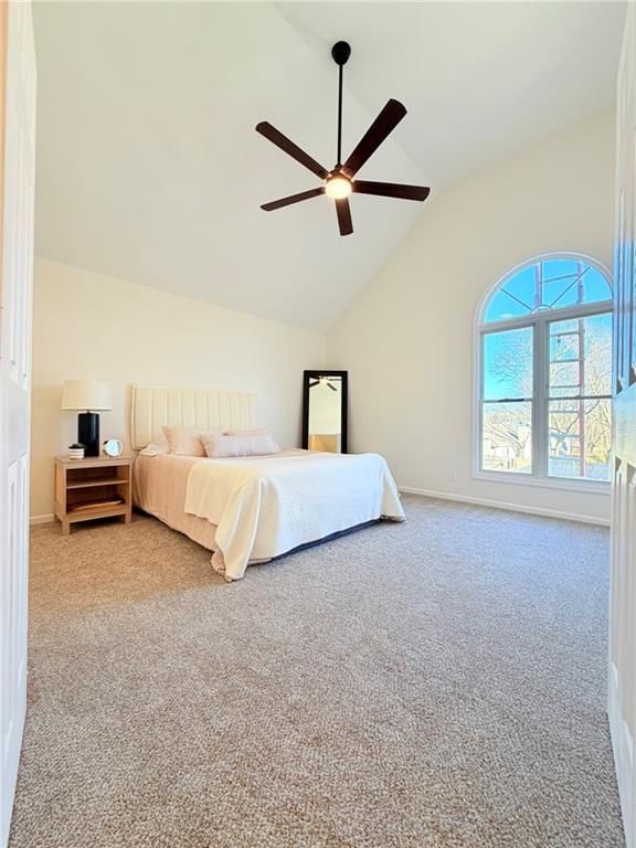 12602 Fountain Lake Drive — photo 21