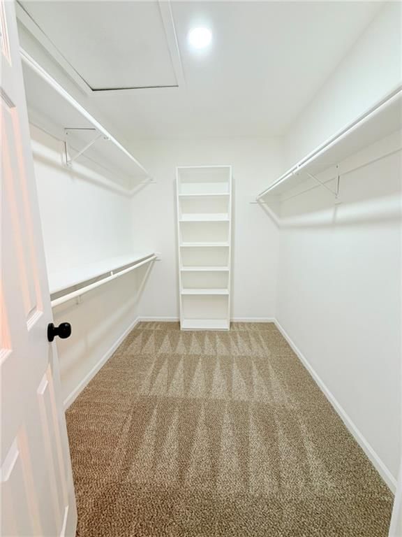 12602 Fountain Lake Drive — photo 26
