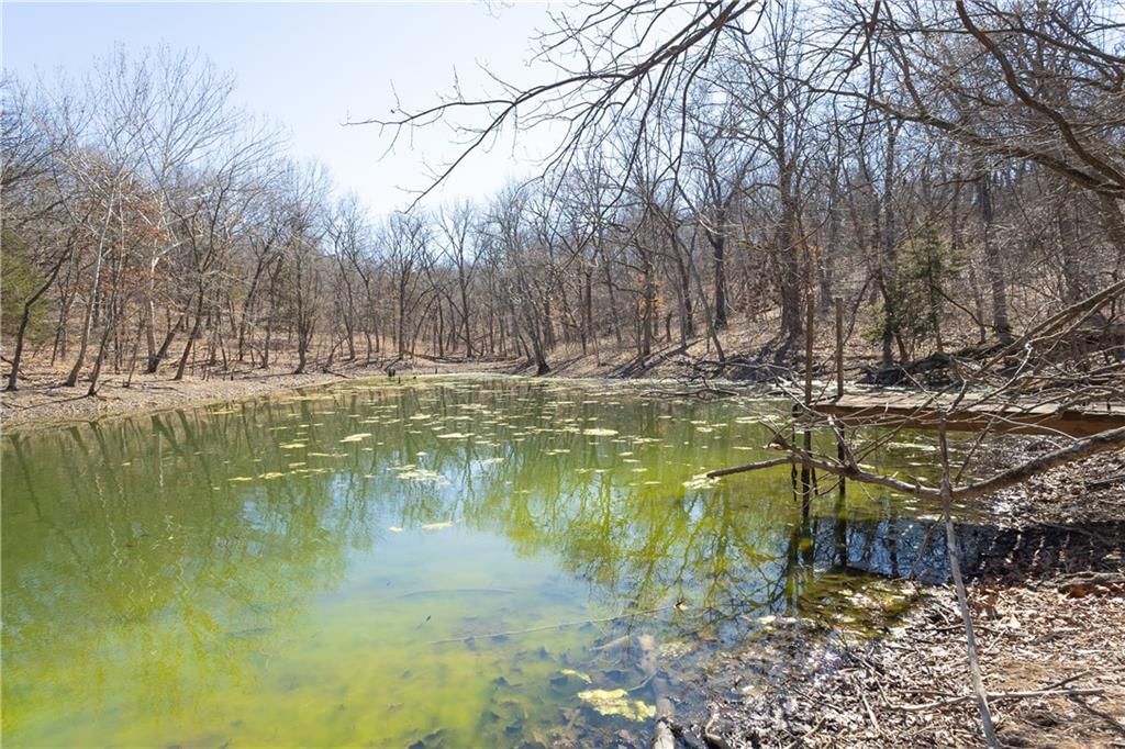 5305 CR 5400 Road — photo 4