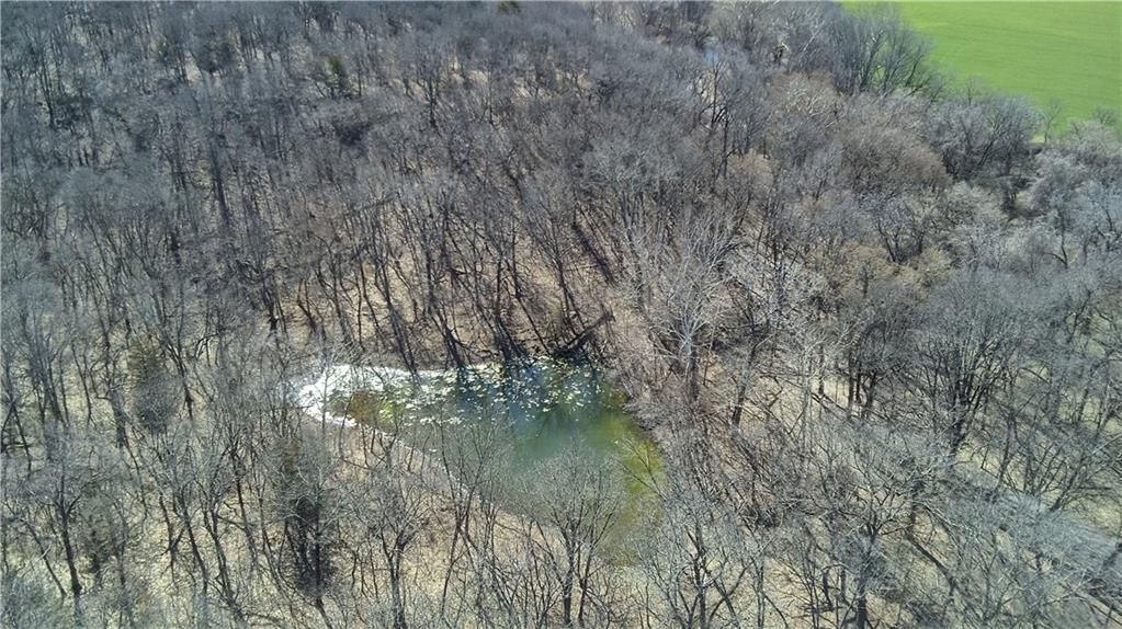 5305 CR 5400 Road — photo 7
