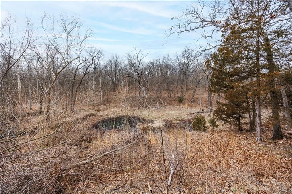 7500 Scott Road — photo 22