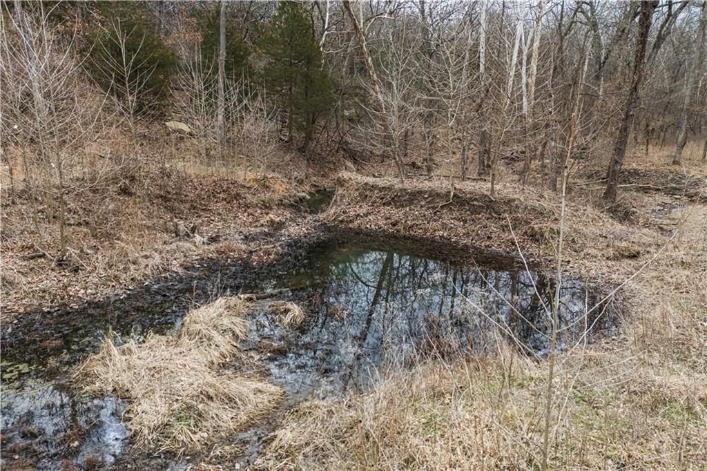 7500 Scott Road — photo 23