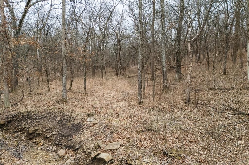 7500 Scott Road — photo 24