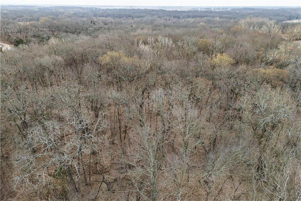 7500 Scott Road — photo 28