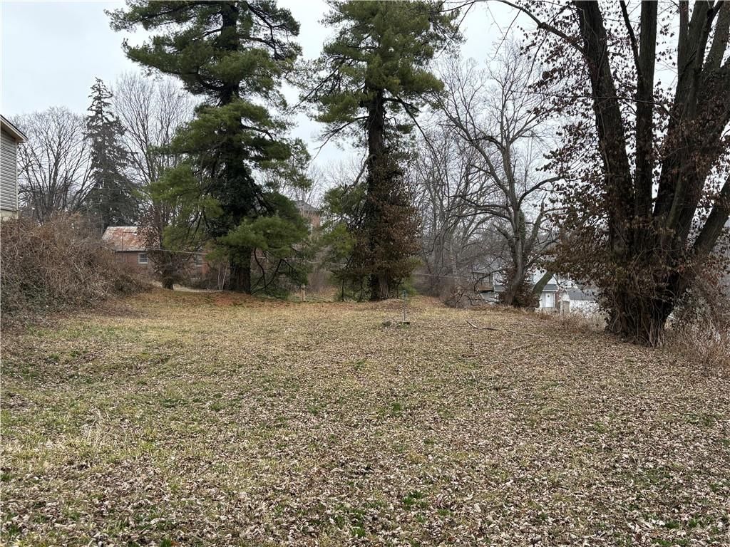 921 Thomas Street — photo 3