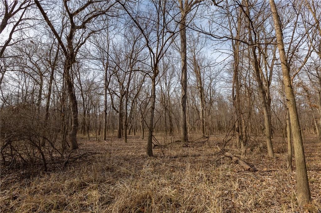 000 520th Road — photo 35