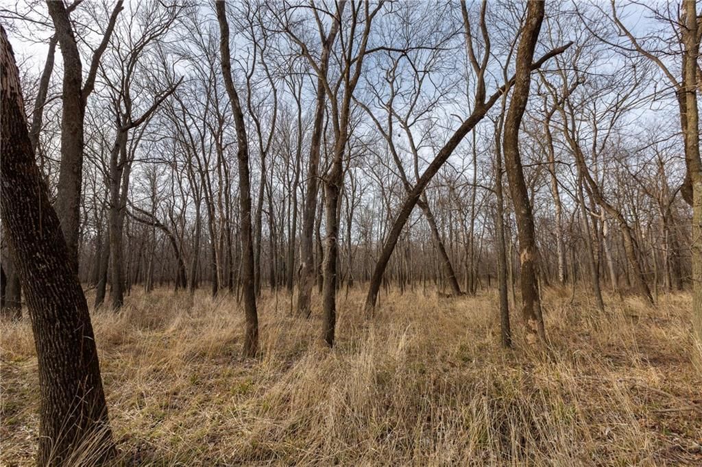 000 520th Road — photo 37