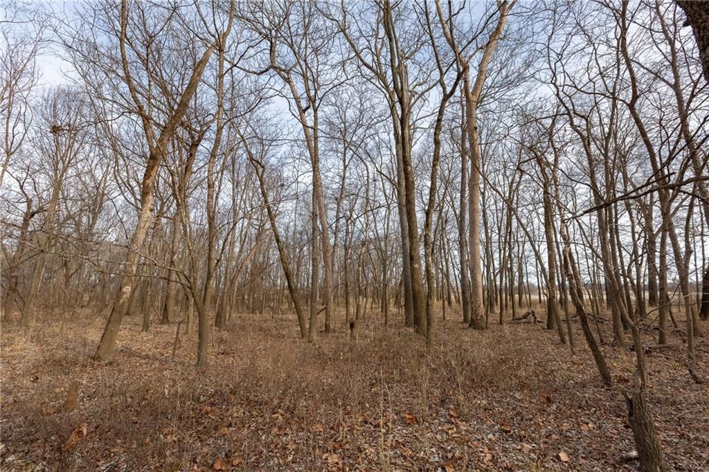 000 520th Road — photo 42