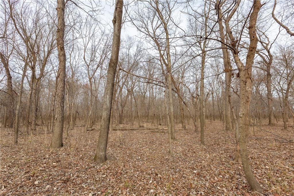 000 520th Road — photo 53