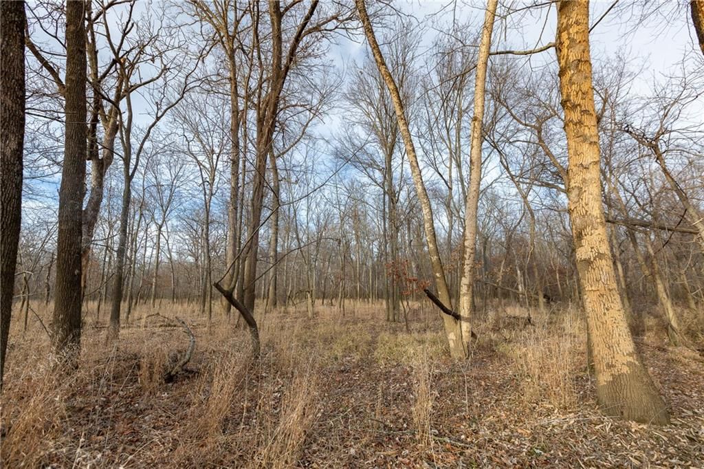 000 520th Road — photo 74