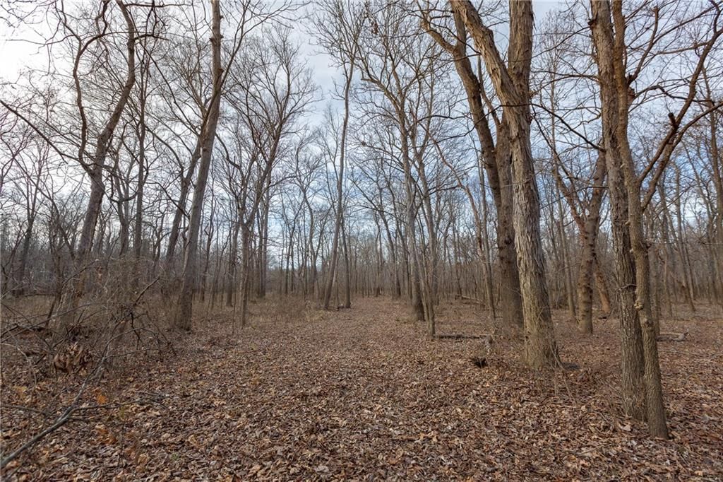 000 520th Road — photo 77
