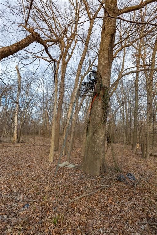 000 520th Road — photo 79
