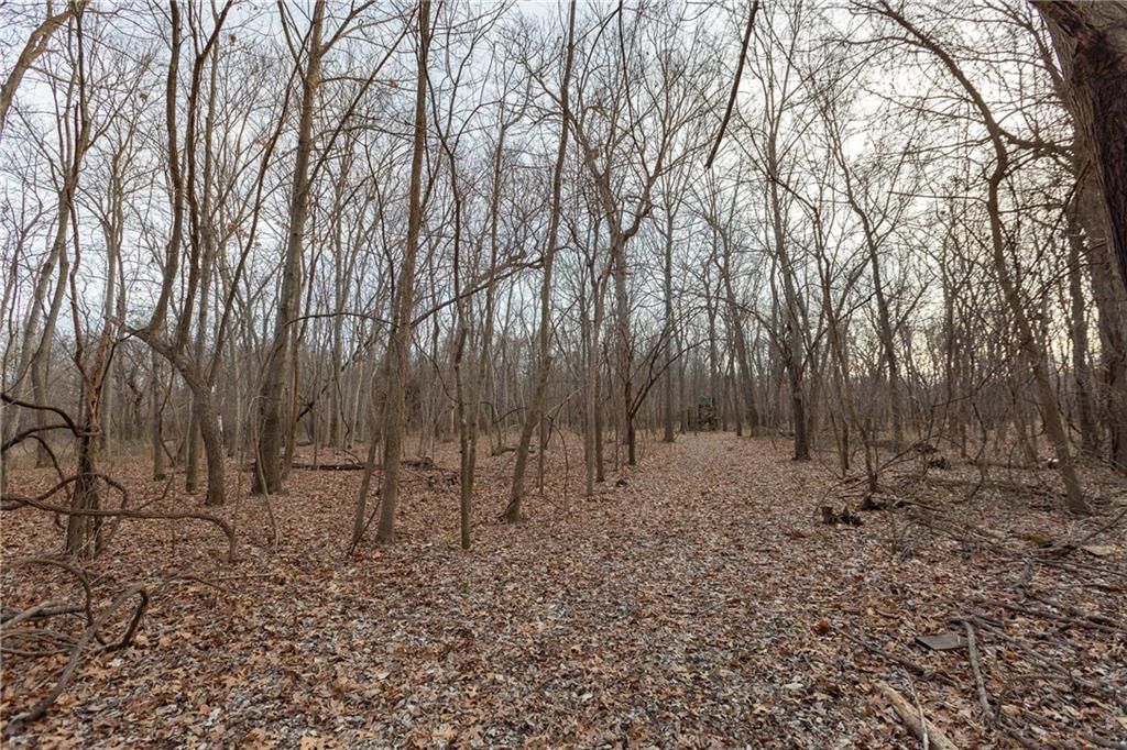 000 520th Road — photo 95