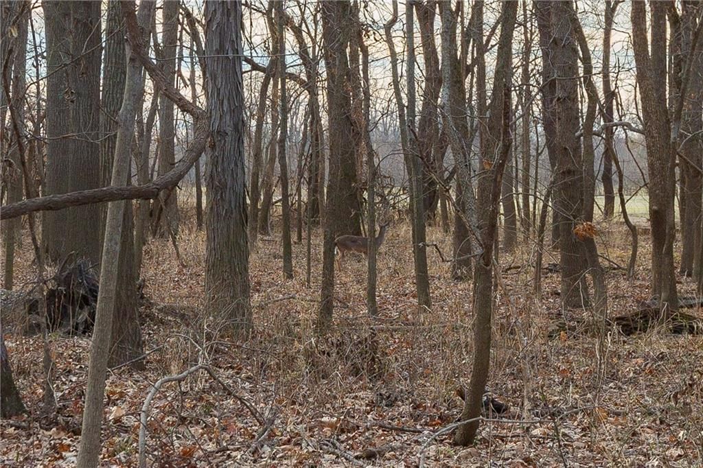000 520th Road — photo 96