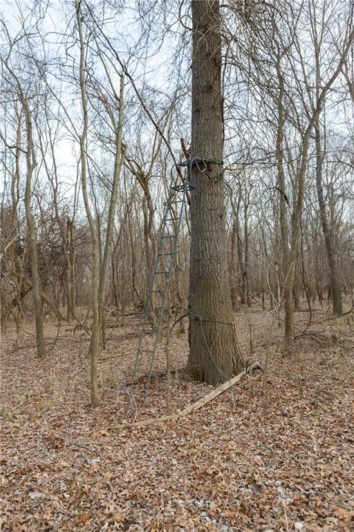 000 520th Road — photo 97