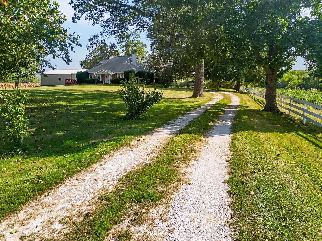 16321 Hildebrandt Road — photo 37
