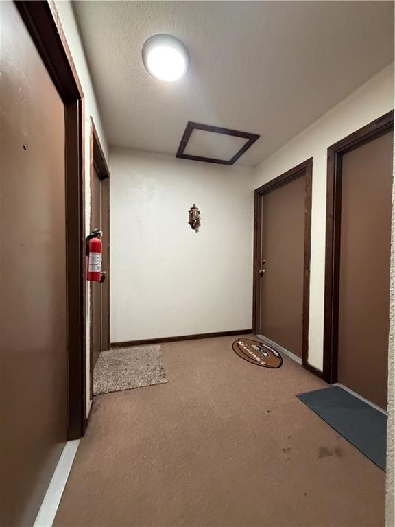 8208 Chas Circle — photo 14