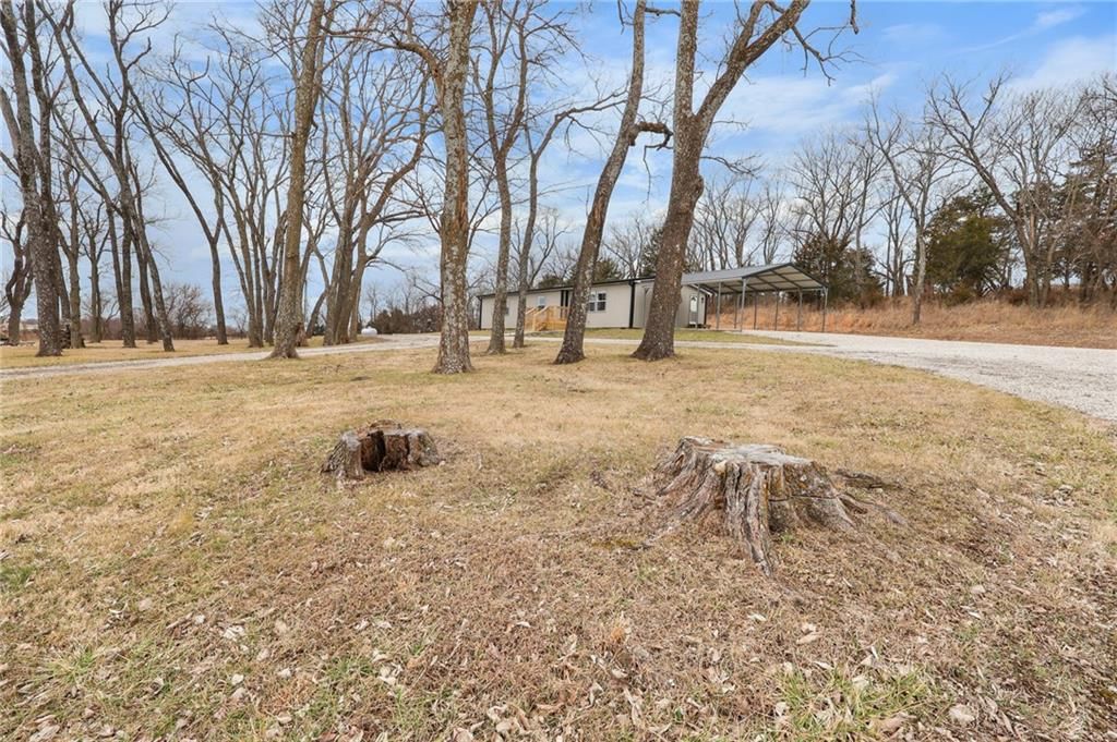 38466 Plum Creek Road — photo 20