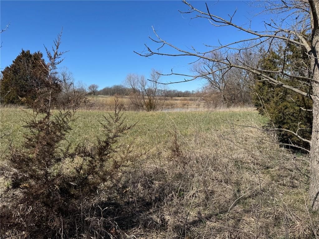 Tract A SE 300 Road — photo 3
