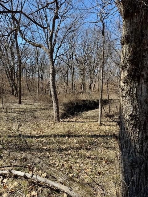 1393 NE 288th Street — photo 63