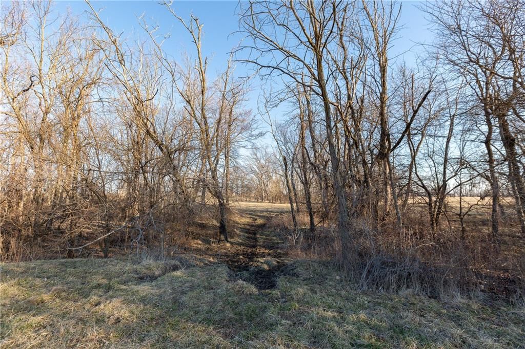 52 401st (south 65) Road — photo 38