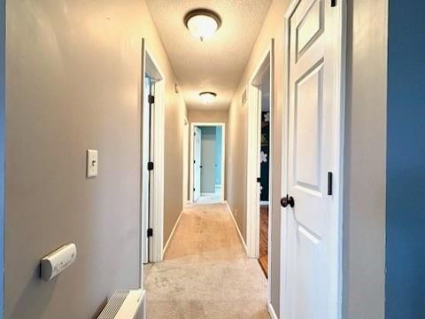 503 Jennifer Lane — photo 16