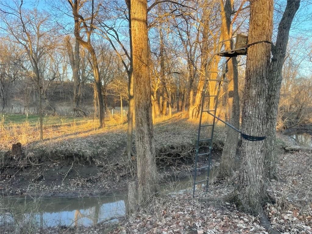 347 NE County Road V Highway — photo 72