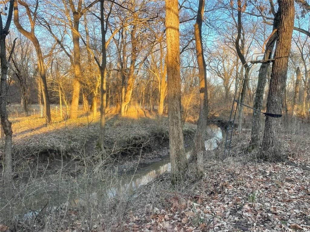 347 NE County Road V Highway — photo 73