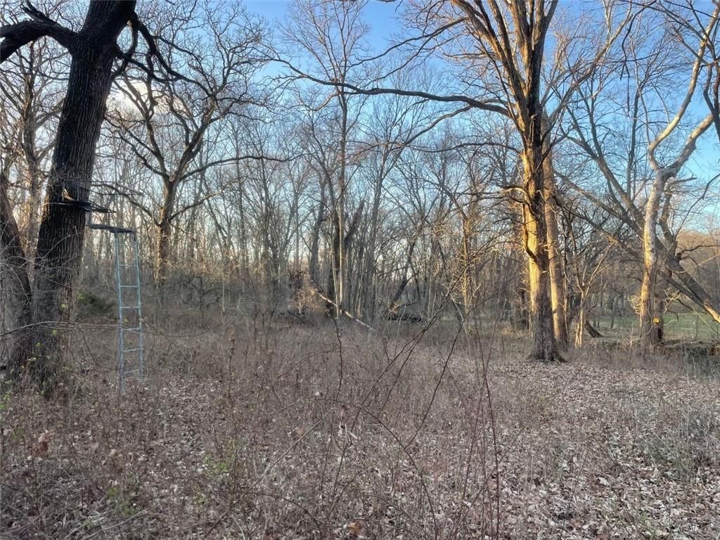 347 NE County Road V Highway — photo 74