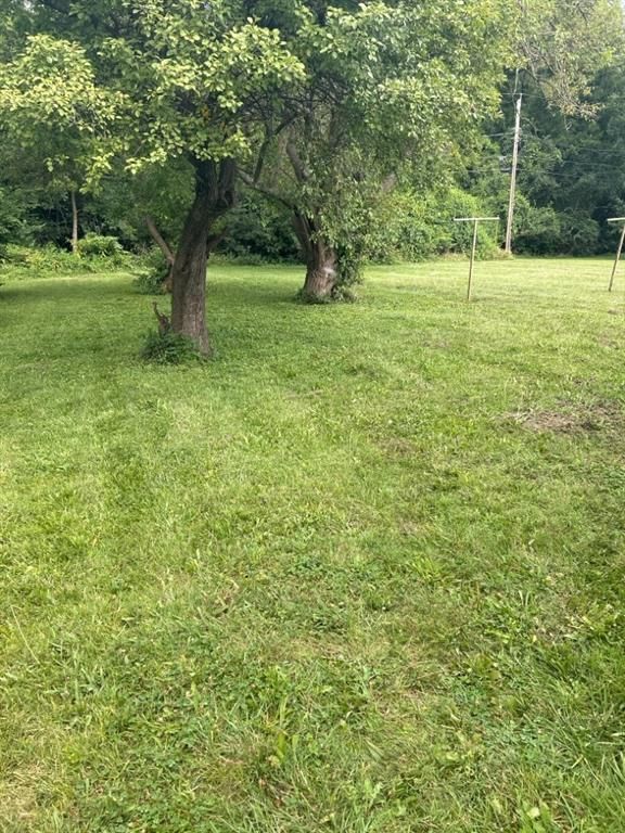 13729 S US 71 Highway — photo 10