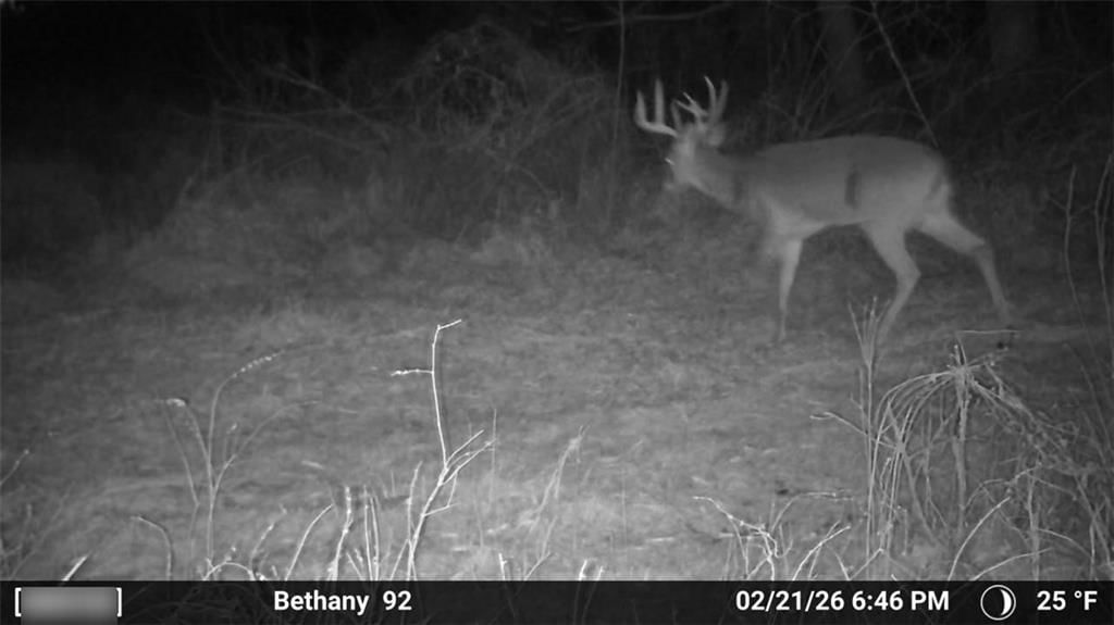 330  th Street — photo 12