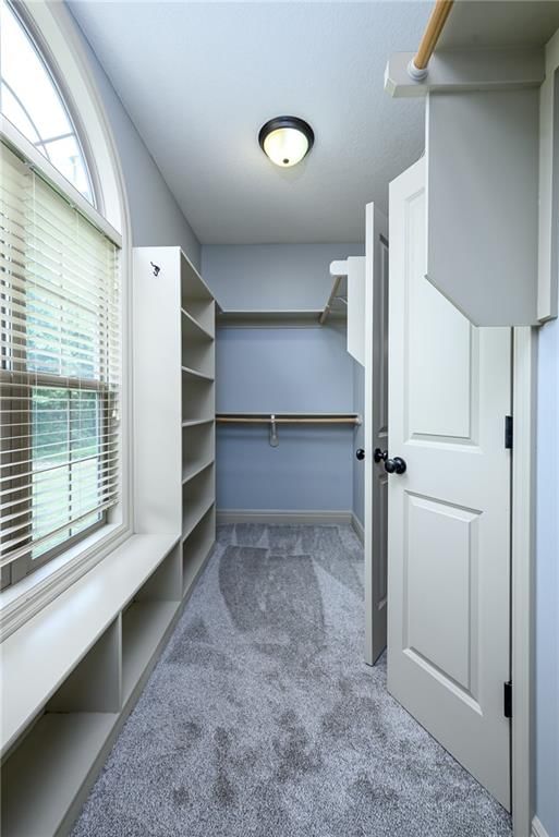 17384 Blue Moon Lane — photo 21