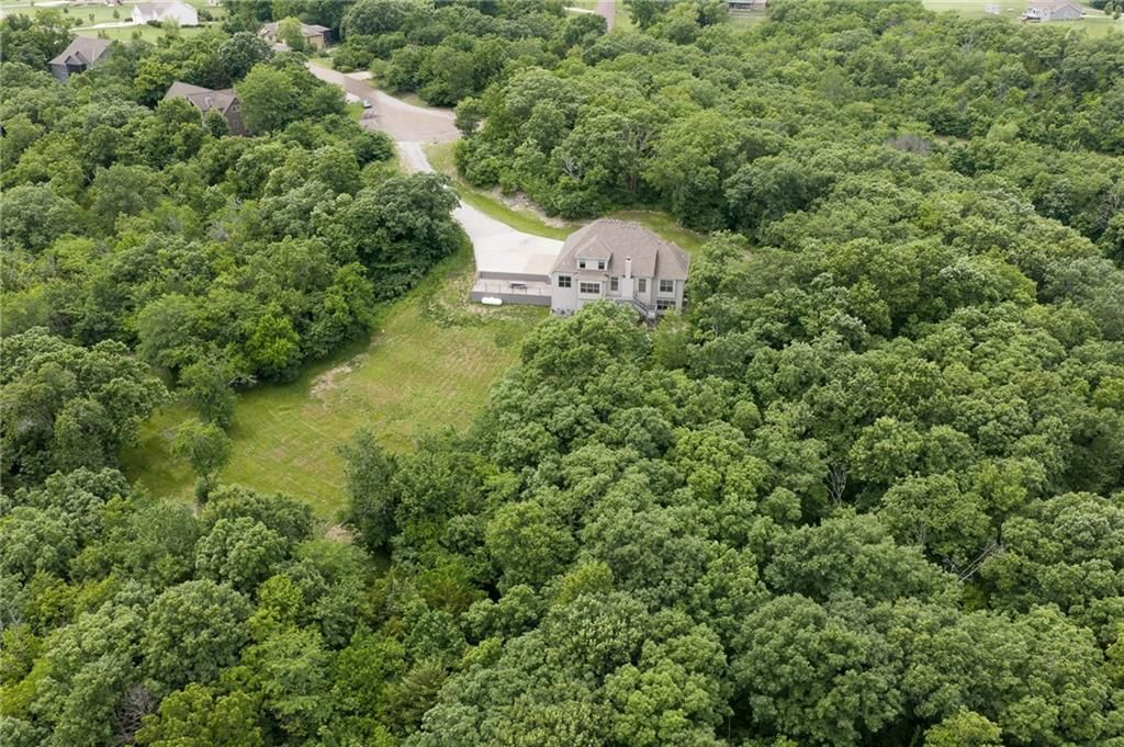 17384 Blue Moon Lane — photo 45