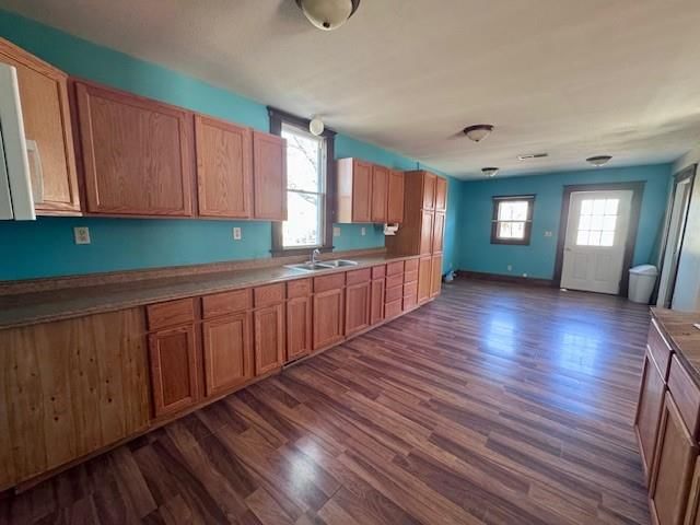 802 Sycamore Street — photo 5