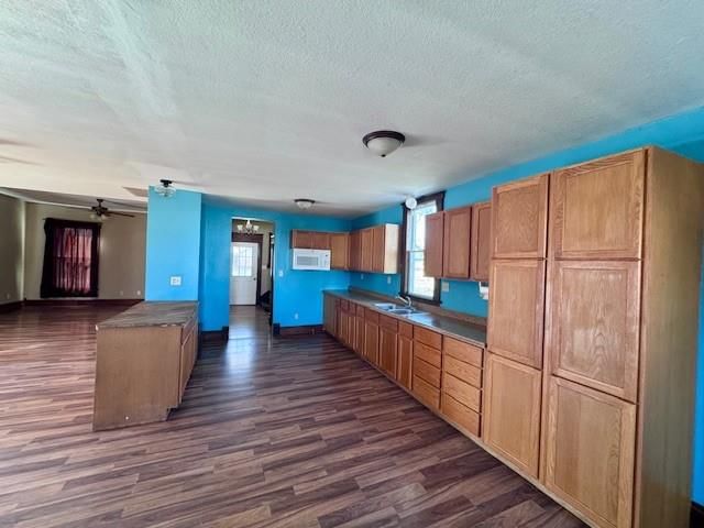 802 Sycamore Street — photo 6