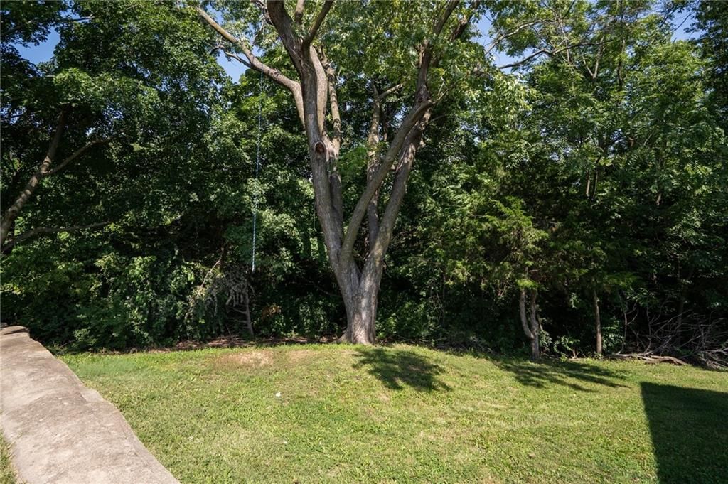 3210 Steele Road — photo 49