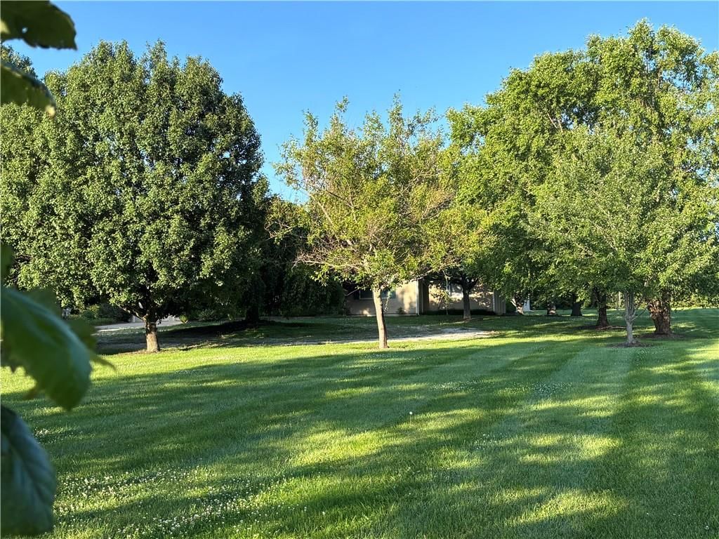 25595 Rockville Road — photo 8
