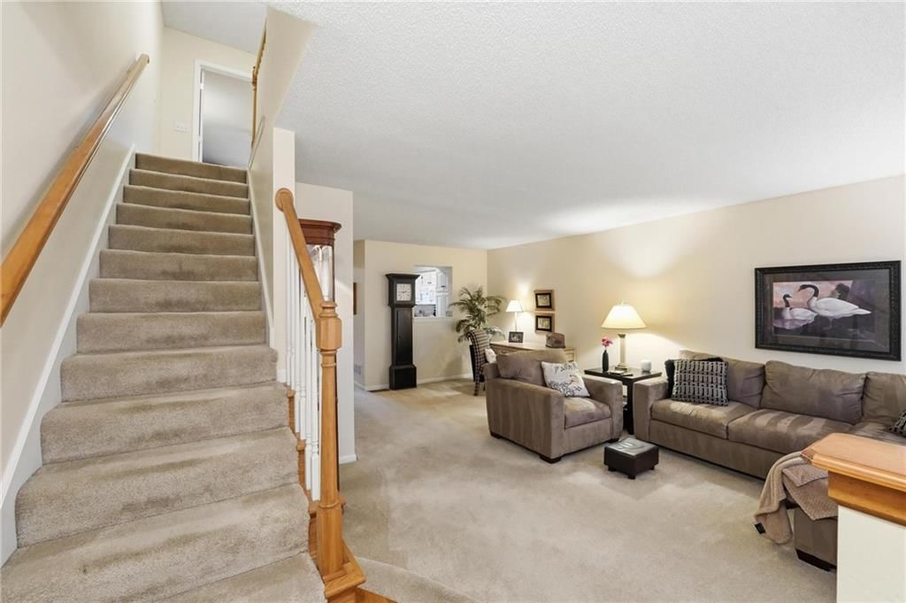10551 Riley Street — photo 5