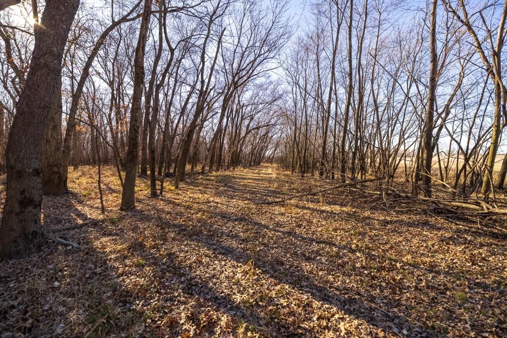 CR 161 Road — photo 22