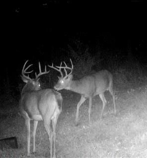 37156 State Hwy N Highway — photo 32