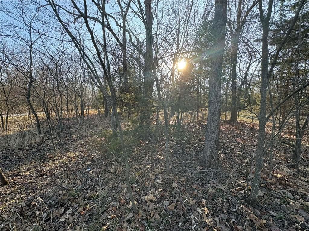 5 Shady Hollow Drive — photo 5