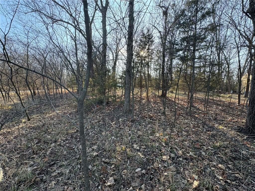 5 Shady Hollow Drive — photo 6