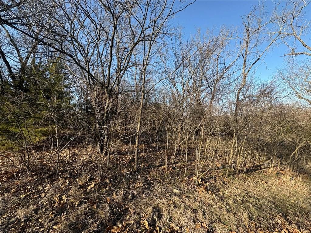 5 Shady Hollow Drive — photo 8