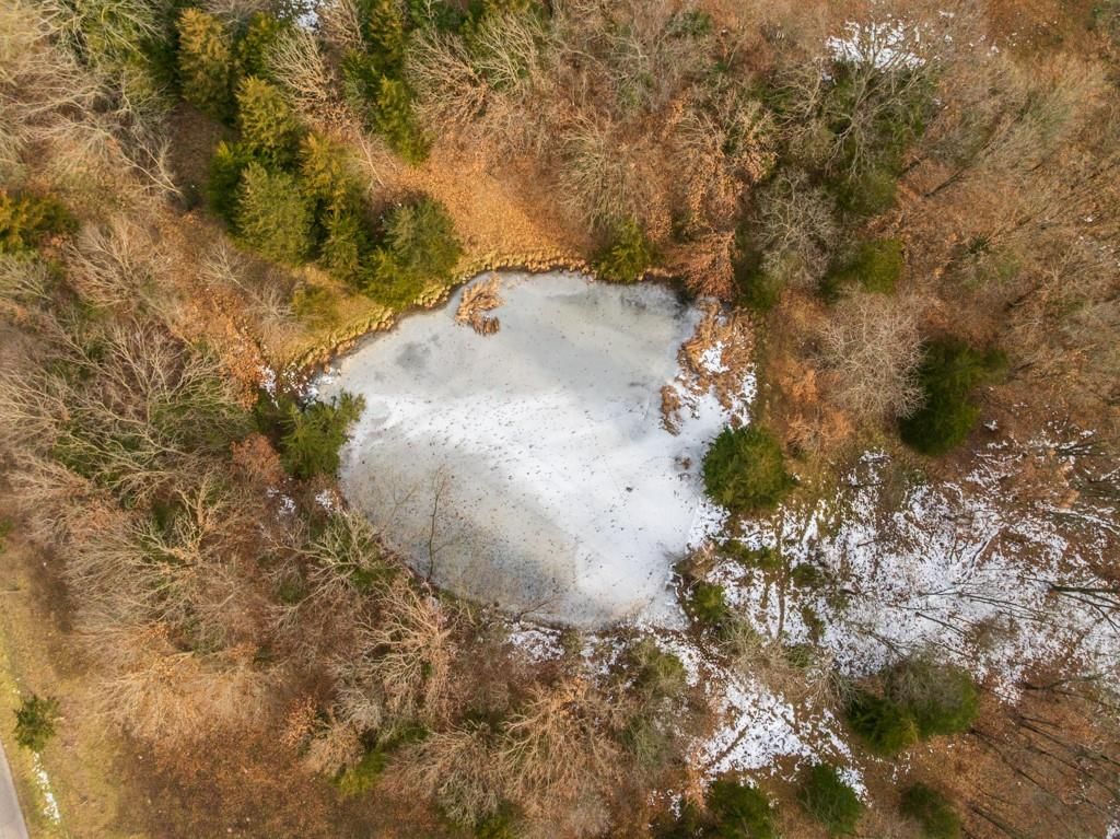 15974 Highway 129 Highway — photo 5