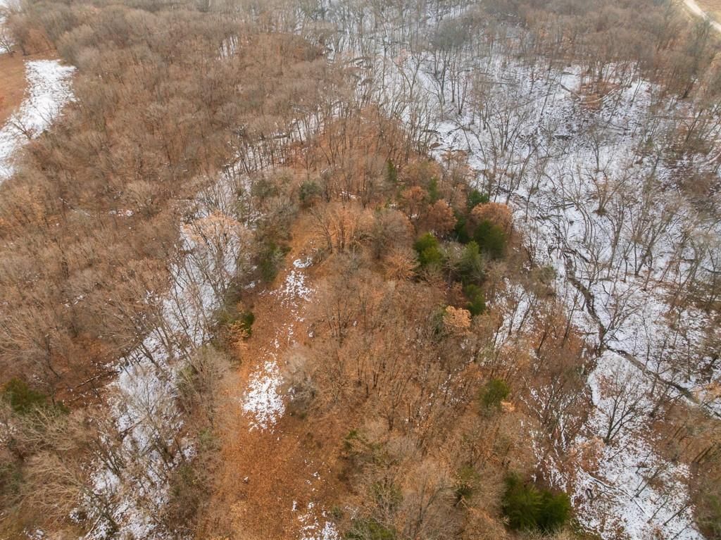 15974 Highway 129 Highway — photo 7