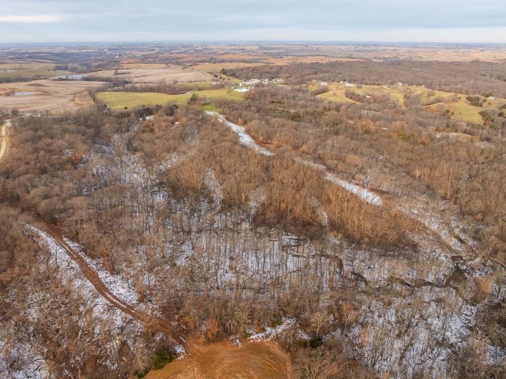 15974 Highway 129 Highway — photo 8