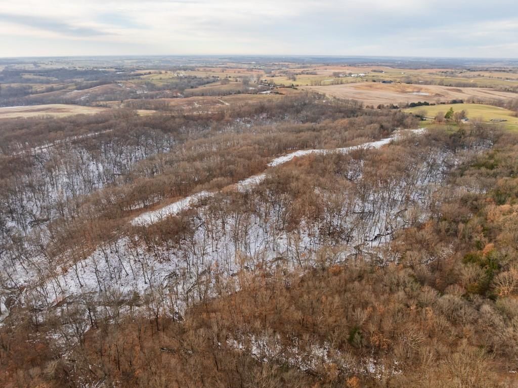15974 Highway 129 Highway — photo 12