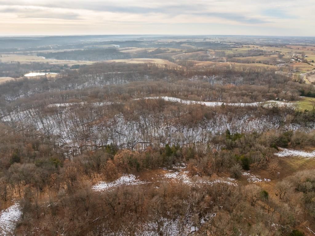 15974 Highway 129 Highway — photo 14